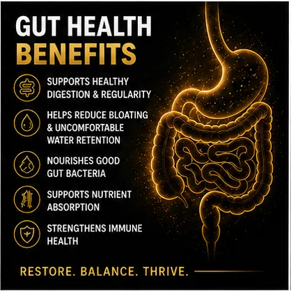 Gut health benefits: supports healthy digestion and regularity, helps reduce bloating, nourishes good gut bacteria, supports nutrient absorption, strengthens immune health. Restore, balance, thrive.